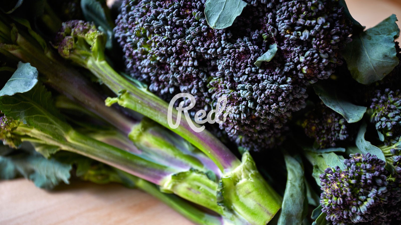 Een dieet voor een gezond leven